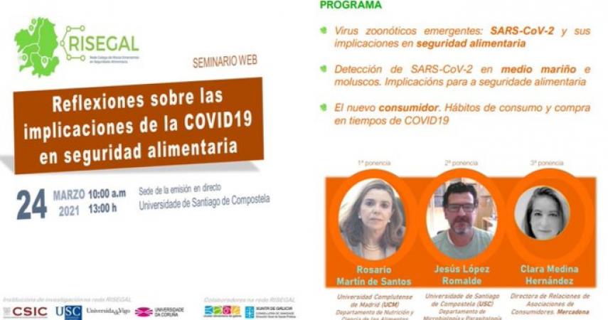 Programme of the RISEGAL 2021 conference