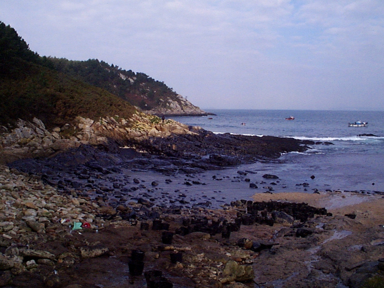 Coast