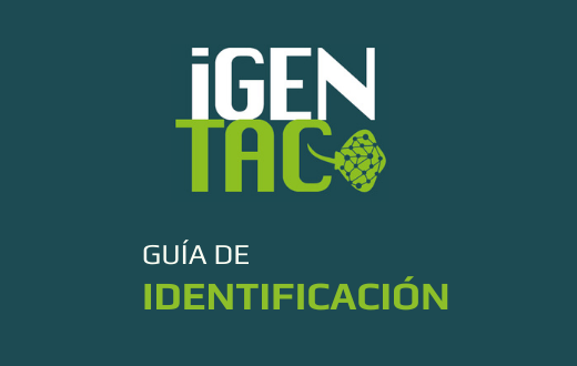 Favicon Favicon
