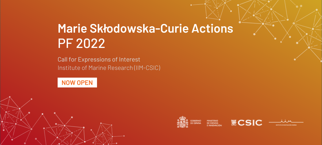 Msca Pf 2022 Word (1112 × 502 px)