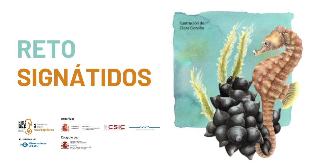 Retosignatidos