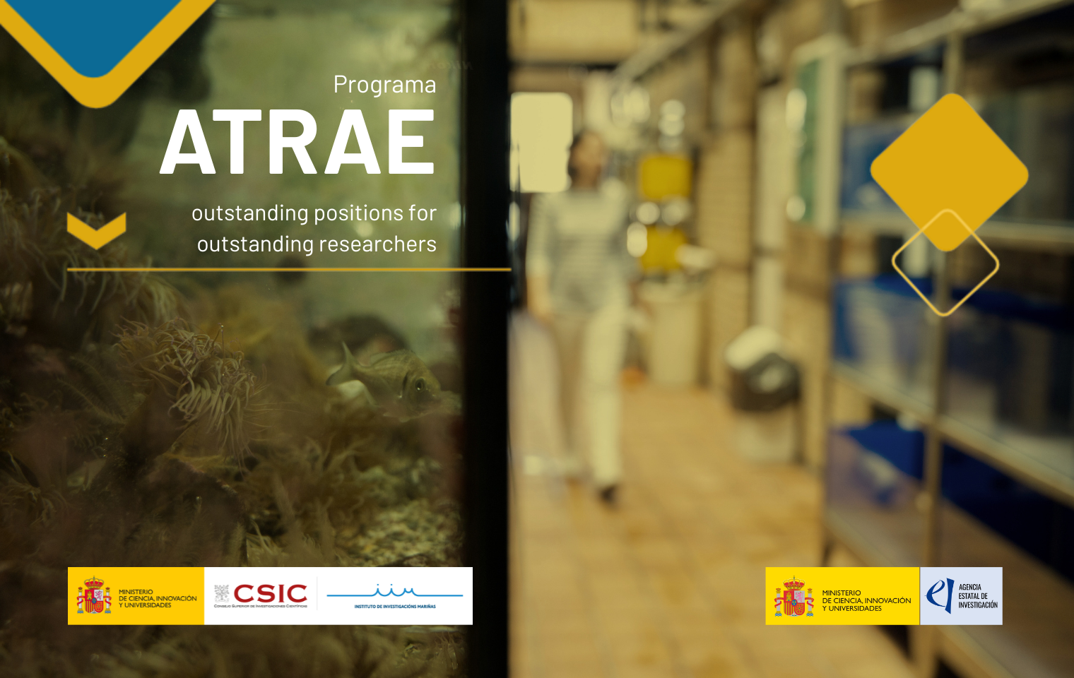 Programa Atrae 2025