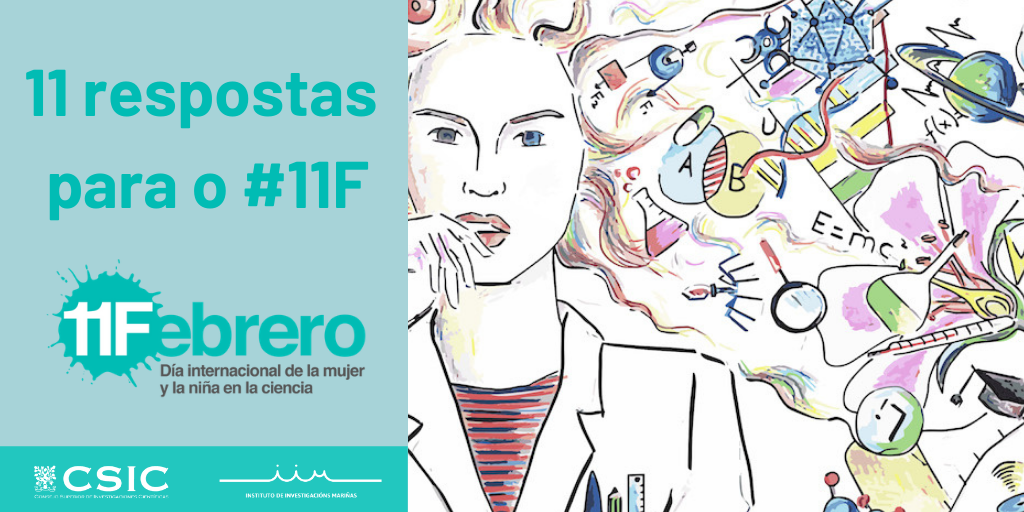 11f Portada