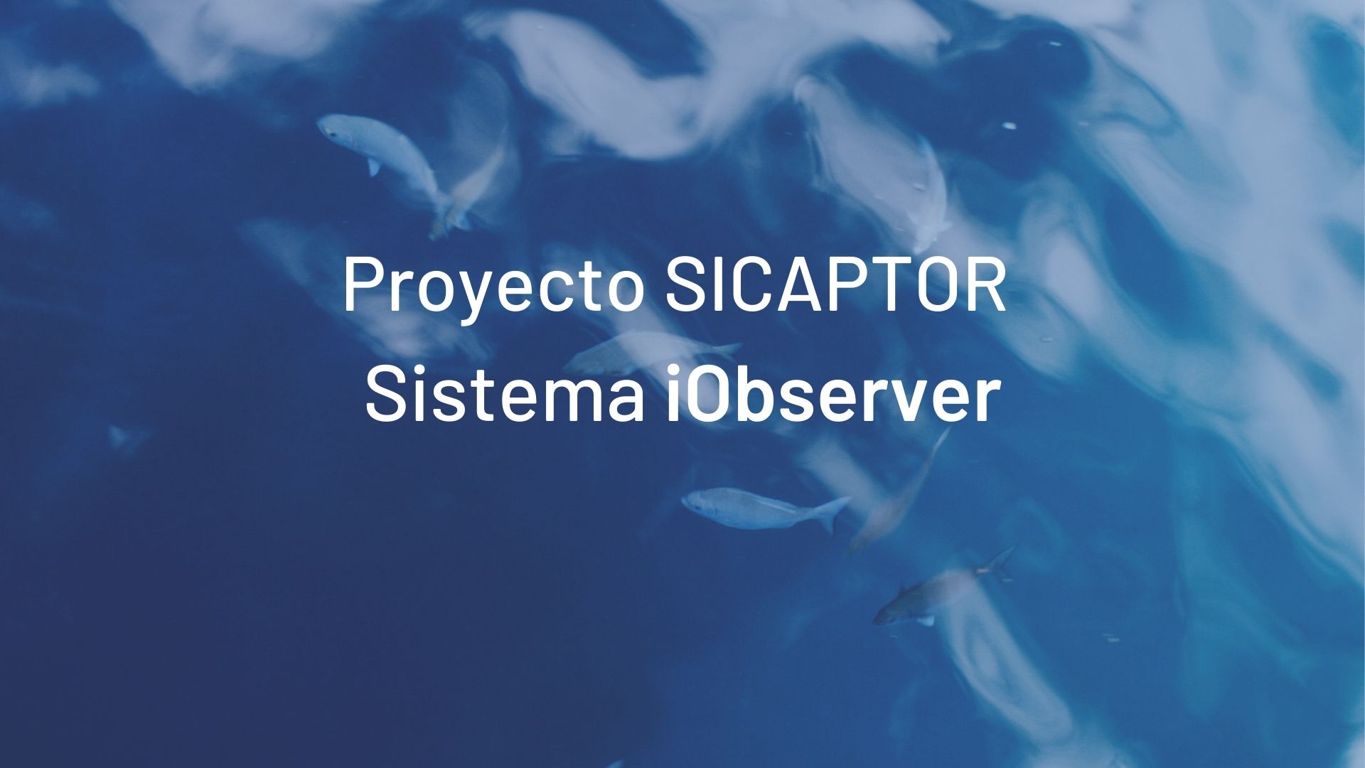 Proxecto Sicaptor Iobserver