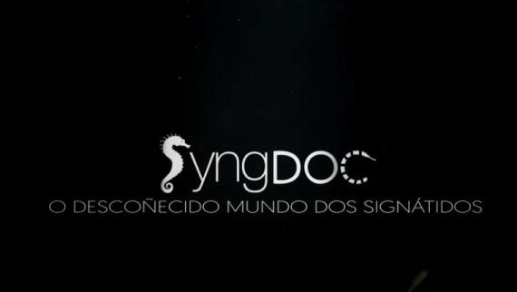 Logo of SyngDoc