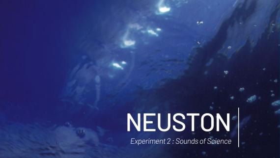 Neuston Experiment 2