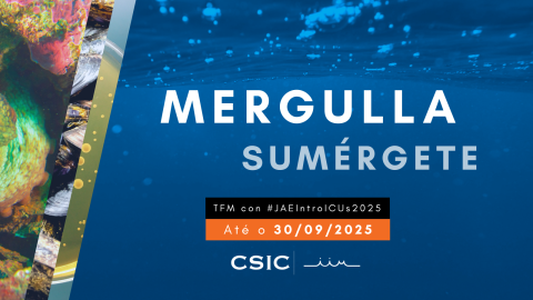 Cartel de la convocatoria JAE Intro ICU 2025