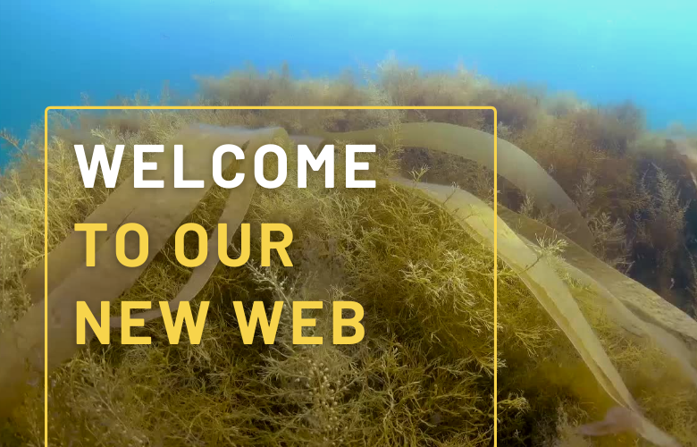 Welcome to our new web