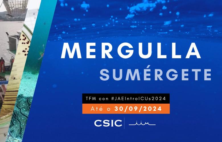 Mergulla / Sumérgete. TFM con JAE Intro ICUs 2024. Até o 30/09/2024.