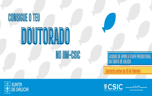 Portada PTA