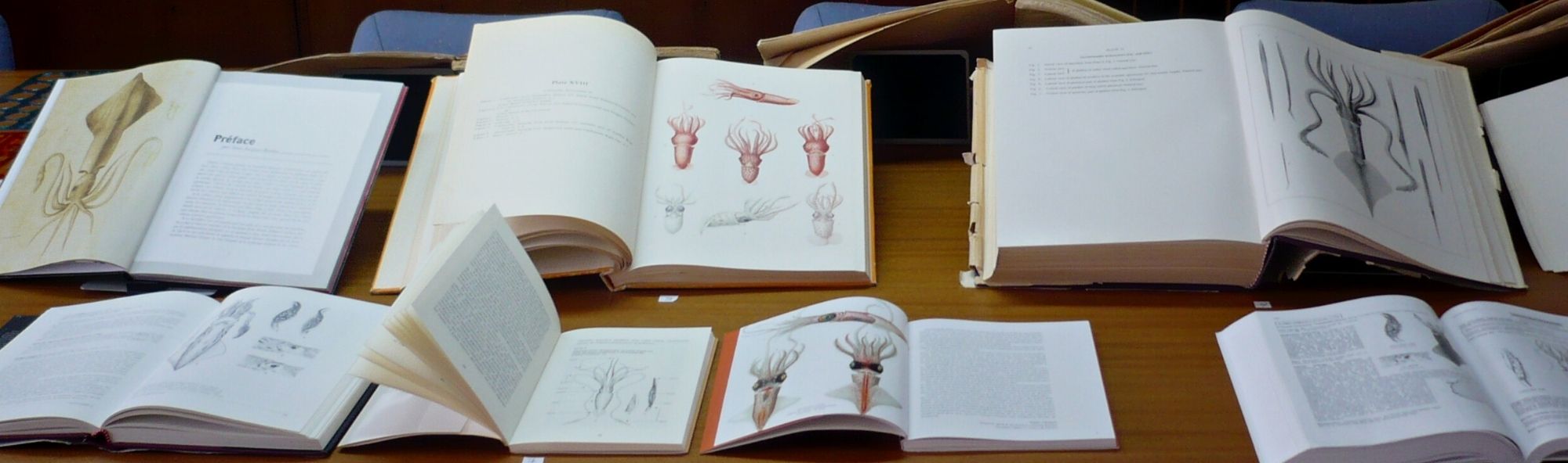 LIbros e ilustracións