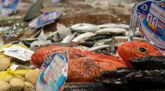 Peixe no mercado