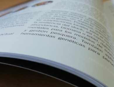 Plano curto de letras nunha publicación de revista.