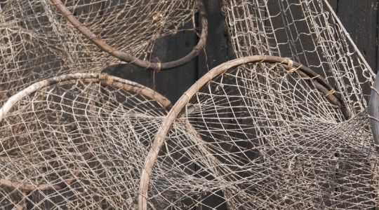 Redes de pesca
