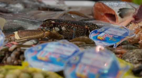 Seafood and labels