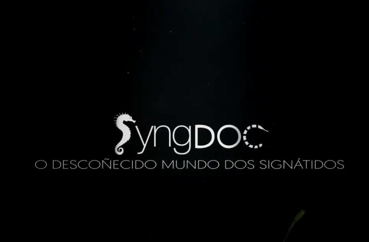Logo of SyngDoc