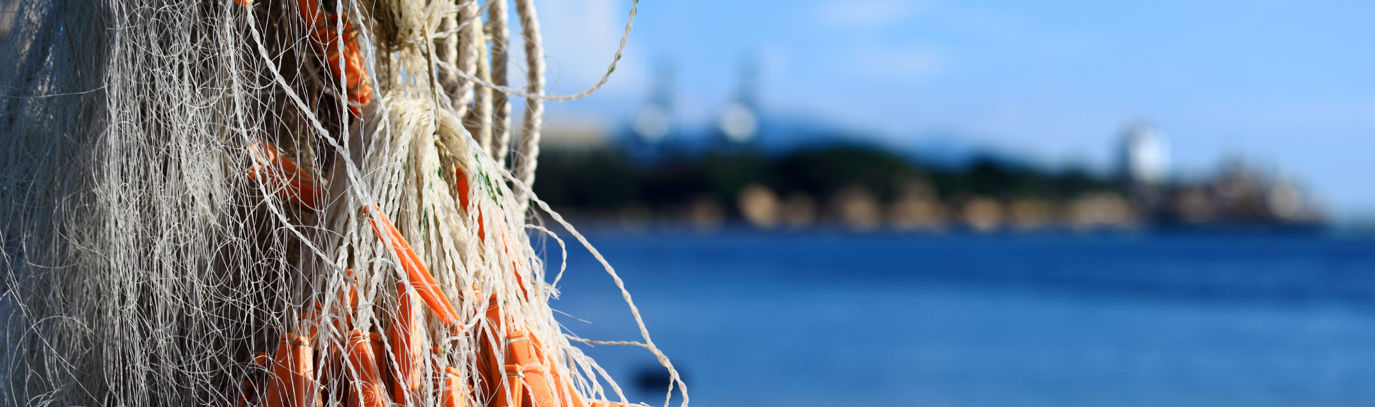 Marine Spatial Planning