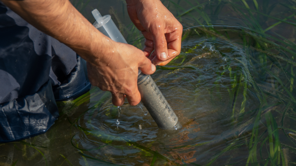 Mand collendo un émbolo e meténdoo entre algas no mar