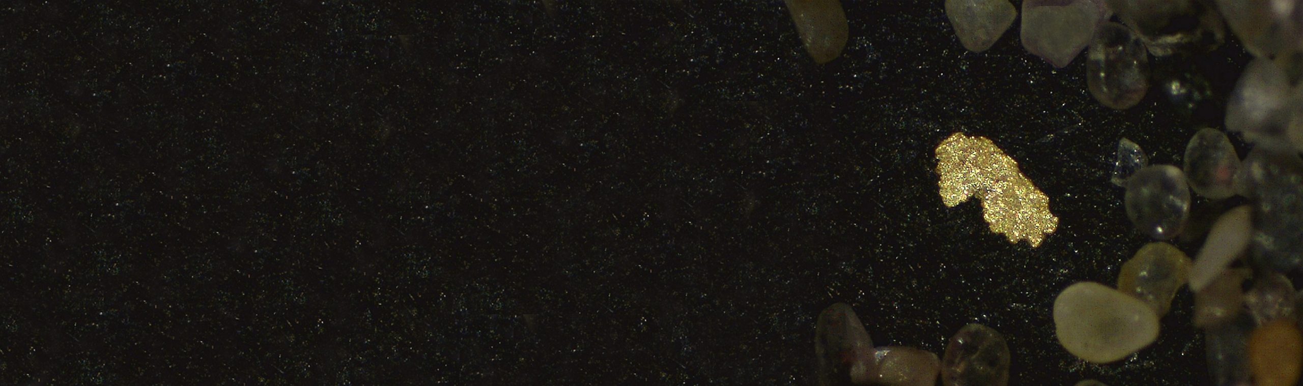 Sedimentos á lupa de Ortigueira.