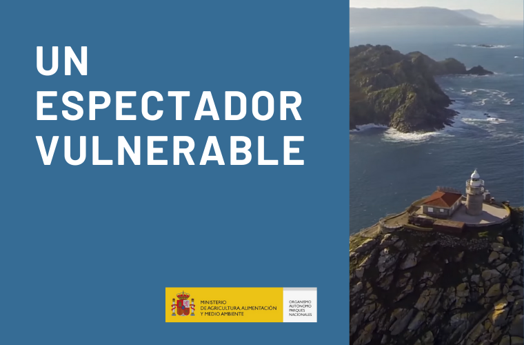 RCO-Un espectador vulnerable