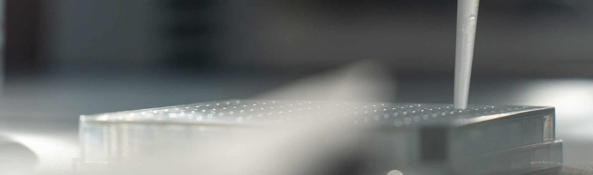 Micropipeta tomando mostra.