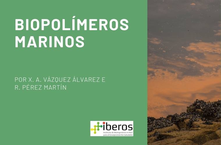 Biopolímeros marinos