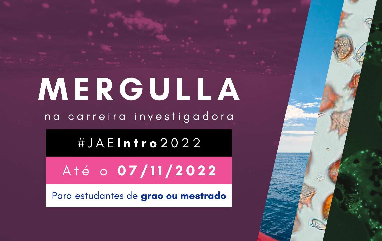 JAE Intro 2022 - Para estudantes de grao e mestrado - Até o 07 de novembro