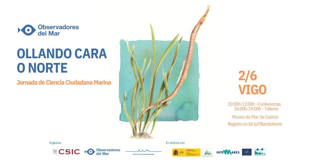 Imaxe portada "ollando cara o nort"