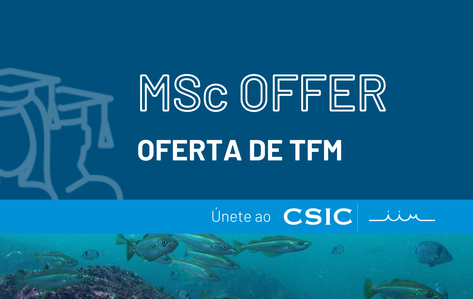 MSc Offer - Oferta de TFM