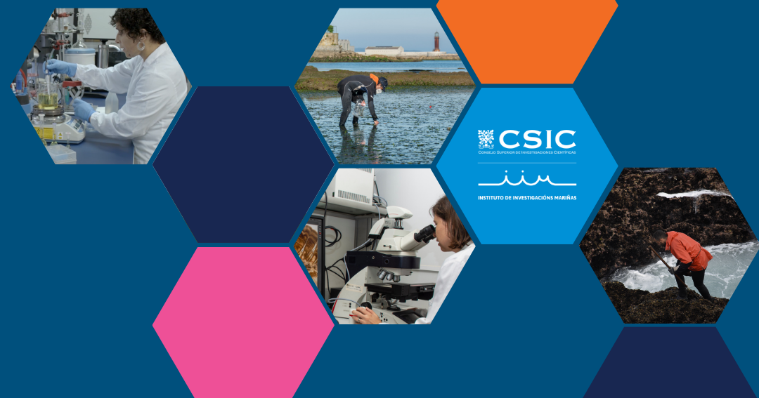 Varios hexágonos con imaxes do persoal e o logo do IIM-CSIC