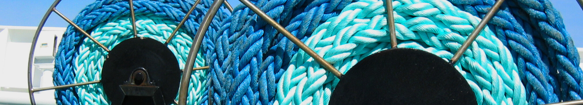 Imaxe de INMARE - Bovinas de redes