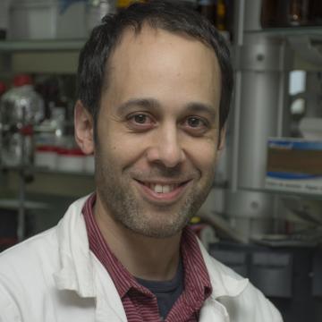 Alberto Gallego Lopez