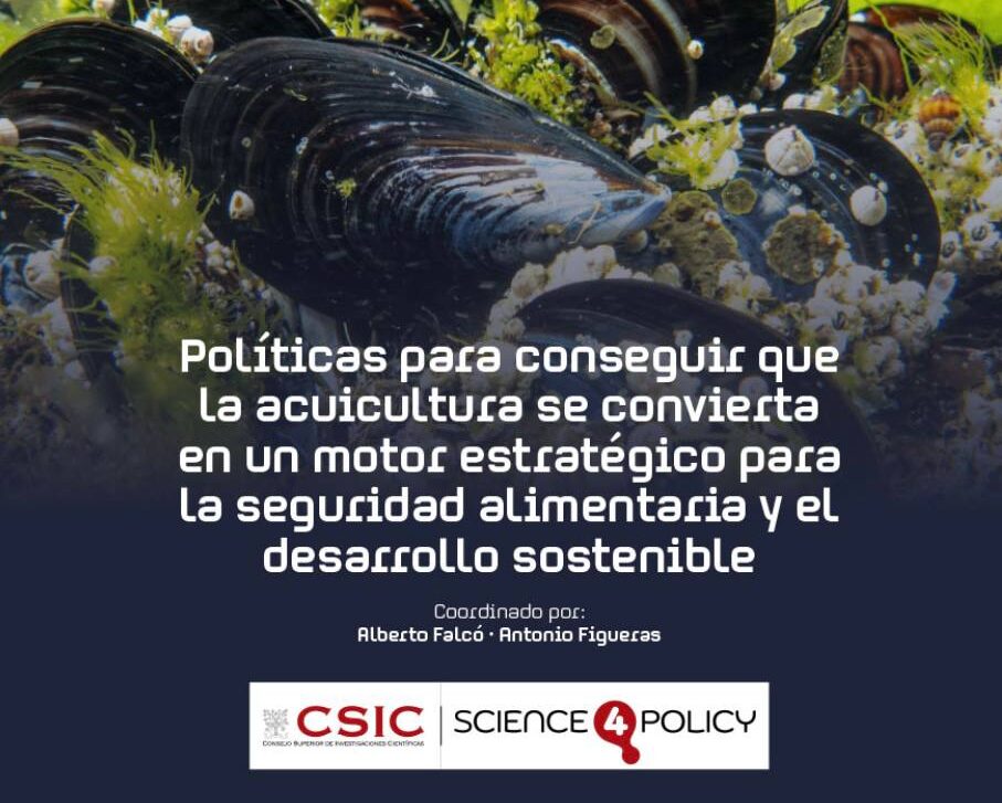 Photo 2026 04 14 14 07 47