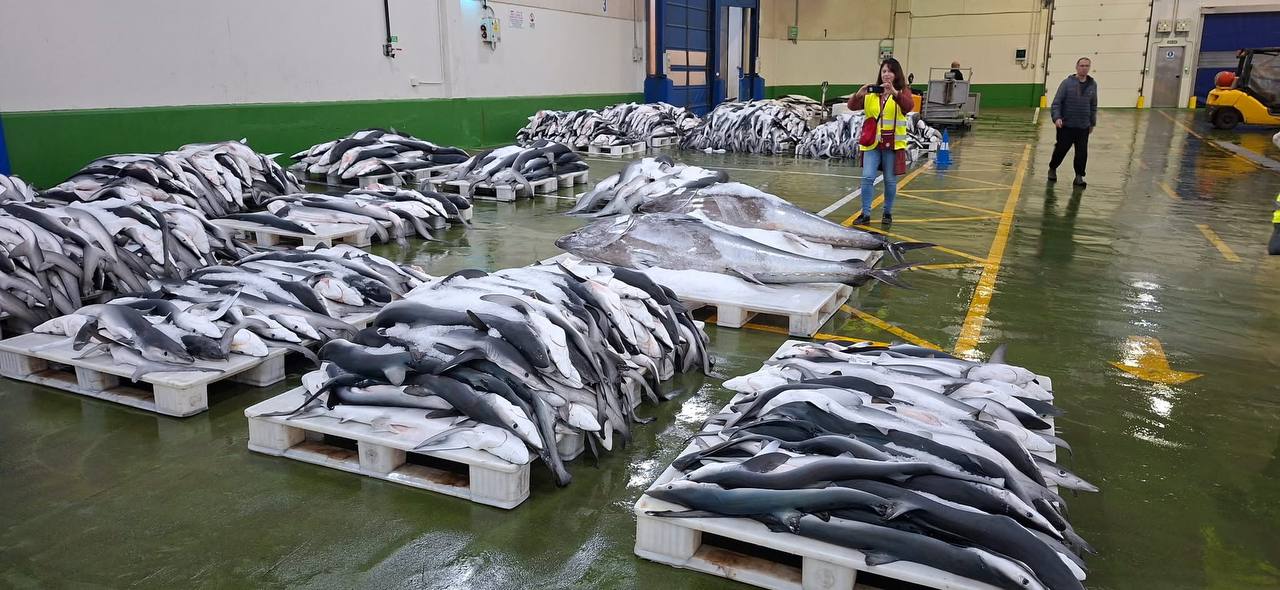 Photo 2026 04 22 19 30 59