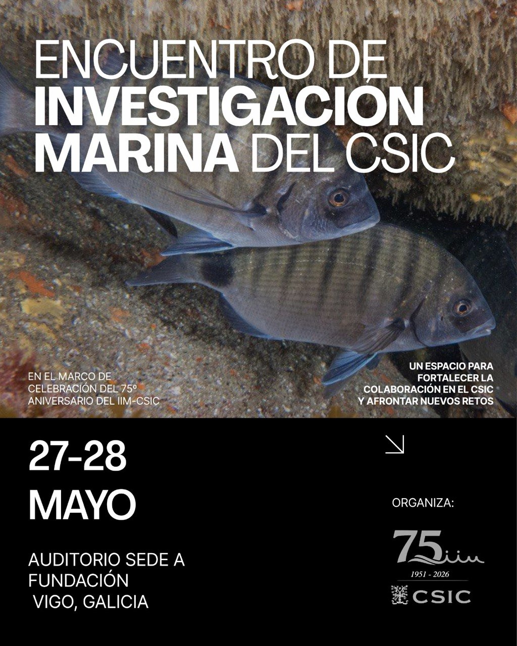 El IIM-CSIC organiza en Vigo el Encuentro de Investigación Marina del CSIC en el marco de su 75 aniversario