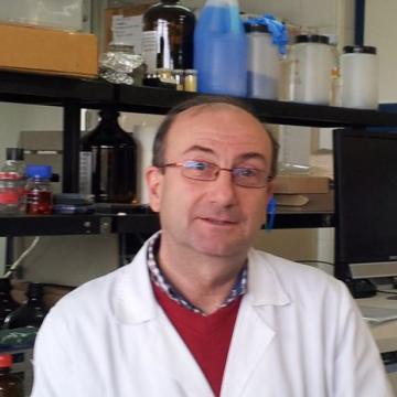 Santiago Pedro Aubourg Martinez