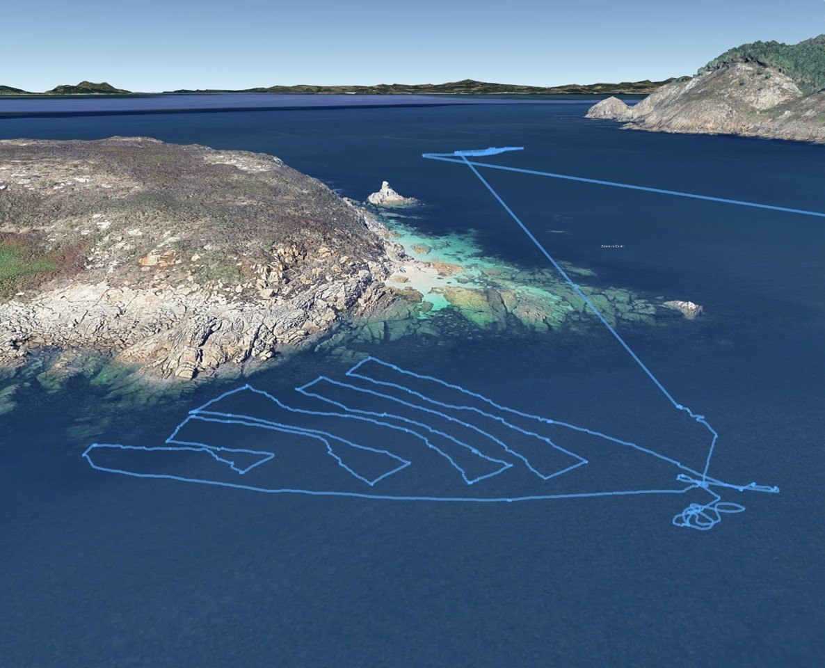 Los proyectos PERIZIA y GELFISH, liderados por el IIM-CSIC, inician una nueva fase para impulsar la sostenibilidad y la innovación en el sector pesquero